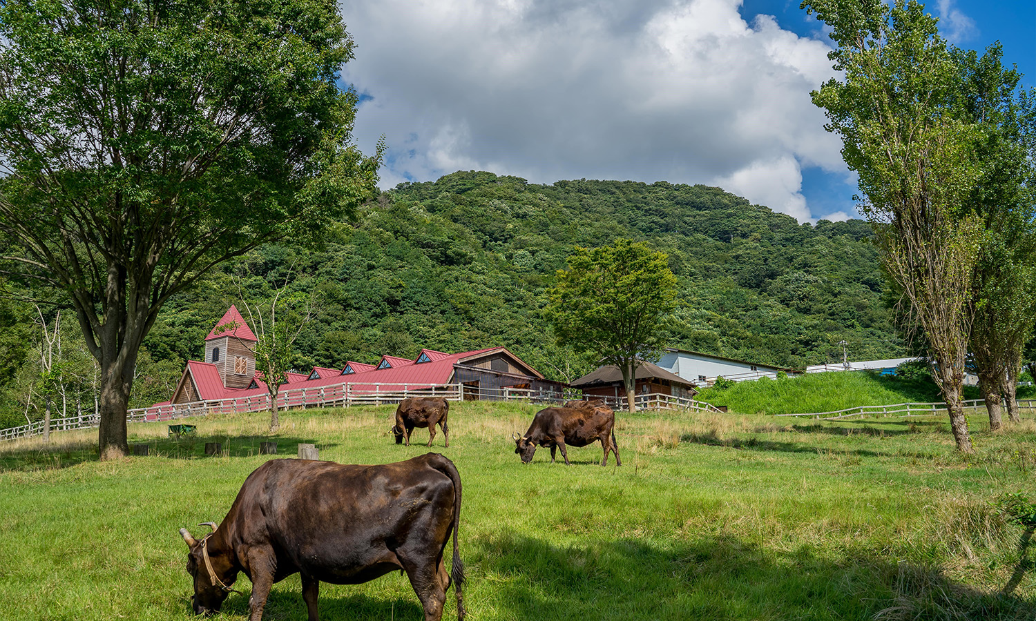 兵庫県立但馬牧場公園